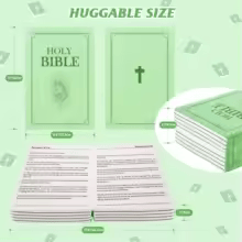 The Living Word Pillow